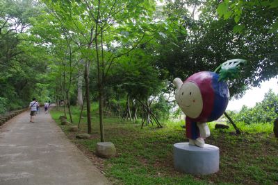 永丰六分桐花步道-永丰六分桐花步道